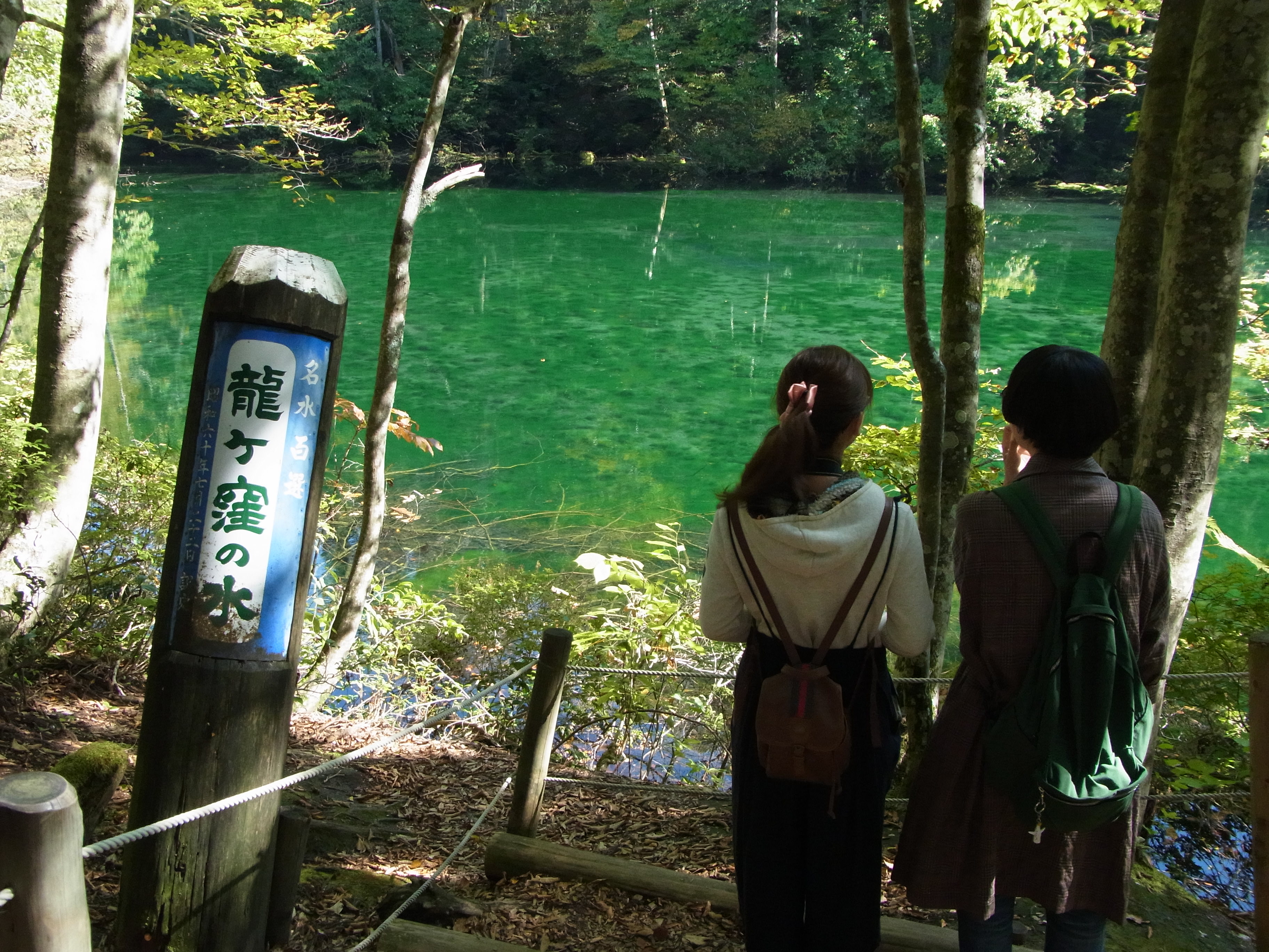 名水を集め、エメラルドグリーンの池が広がる龍ヶ窪。「全国名水100選」のひとつ