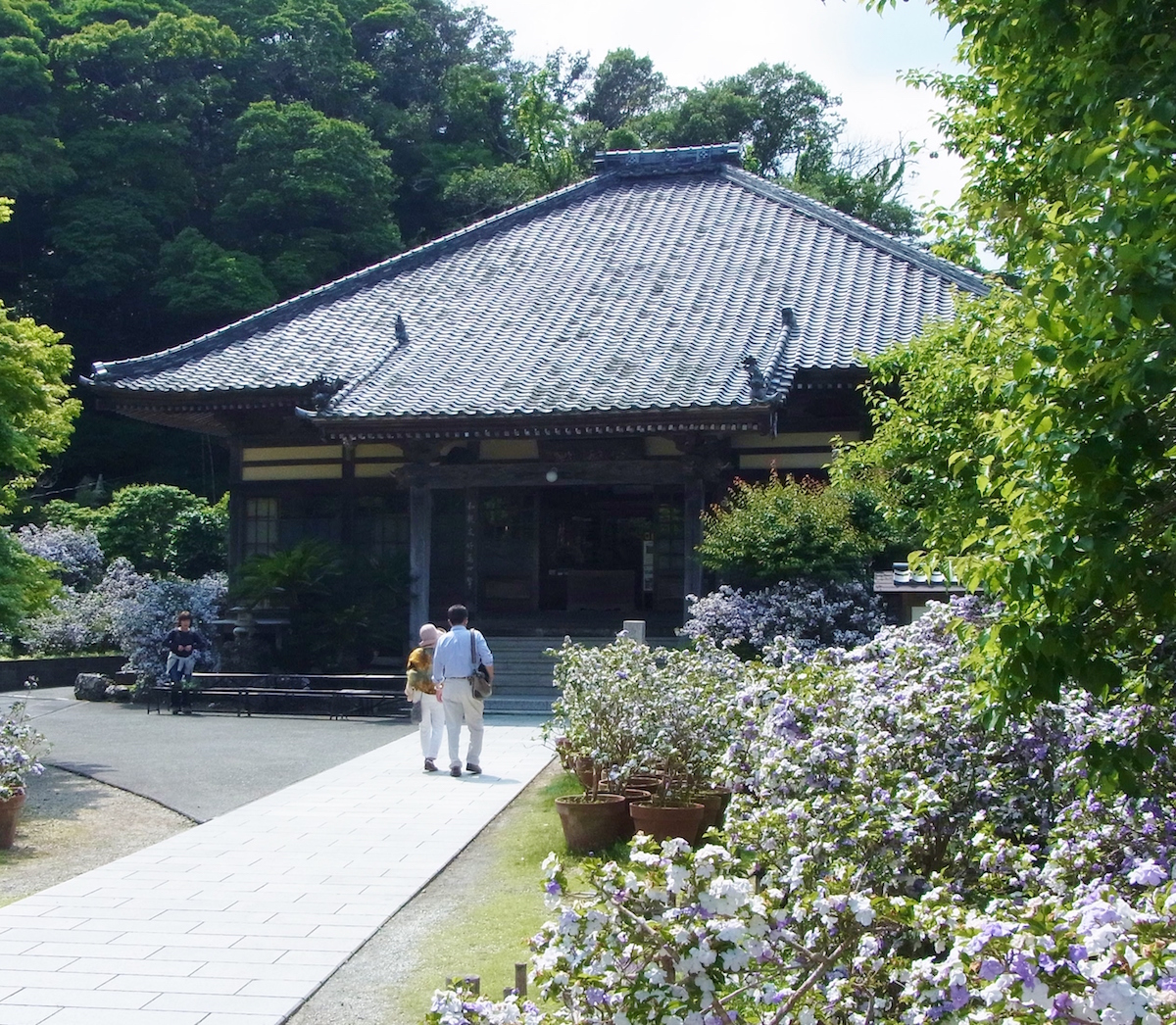 上陸地点から700mほど行った了仙寺。ここで下田条約が締結され、一行が歩いた道は今、“ペリーロード”と名付けられ、散策ルートの一つになっている