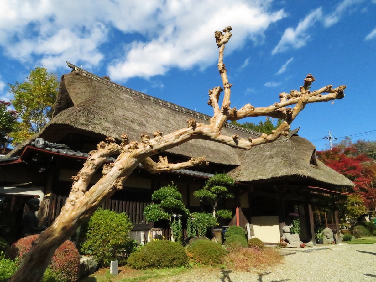 笠間日動美術館の分館、春風萬里荘。陶芸家でもあった北大路魯山人の住居を移築して、作品などを展示している