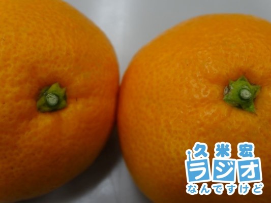 ヘタでも見分けられる