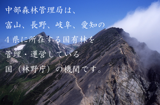 中部森林管理局ホームページから。