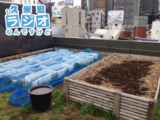 ビルの屋上に畑