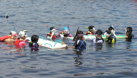 今年はみんなで海へ潜りに行きました
