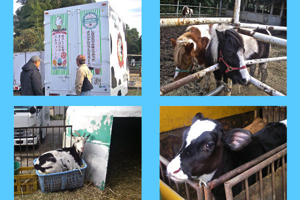 DairyLife_20170101_01