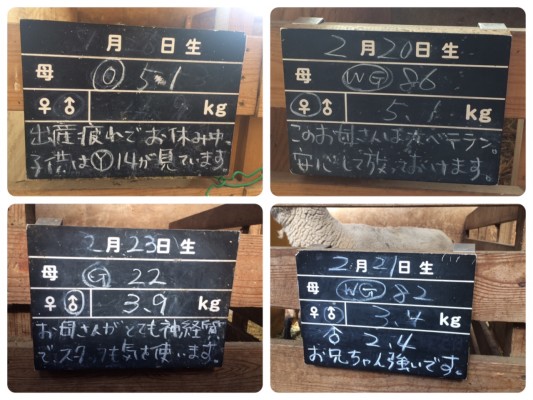 ▲愛と情報の黒板