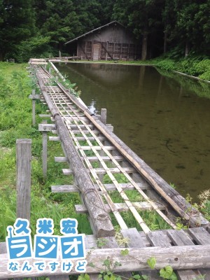 氷池