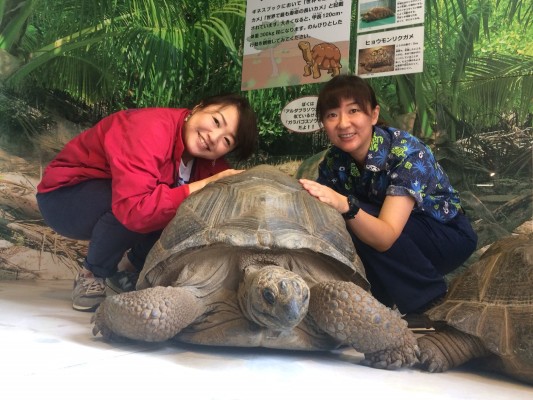 ▲江美さんとアルダブラゾウガメと