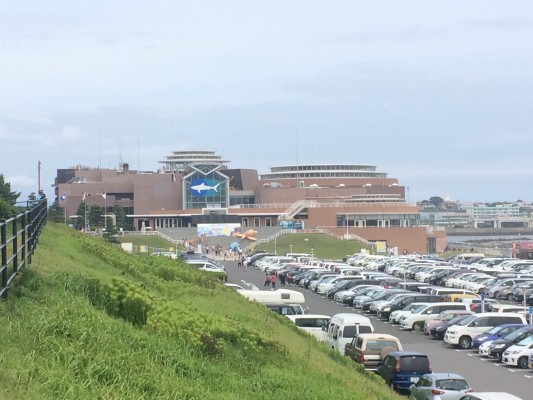 ▲開館65周年、海に面した立派な水族館