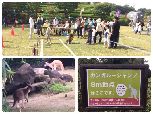 ▲音もなく飛べるカンガルー