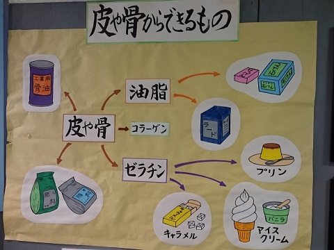 皮なめしの副産物は様々なものに利用されている