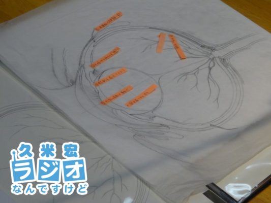 眼球のイラスト