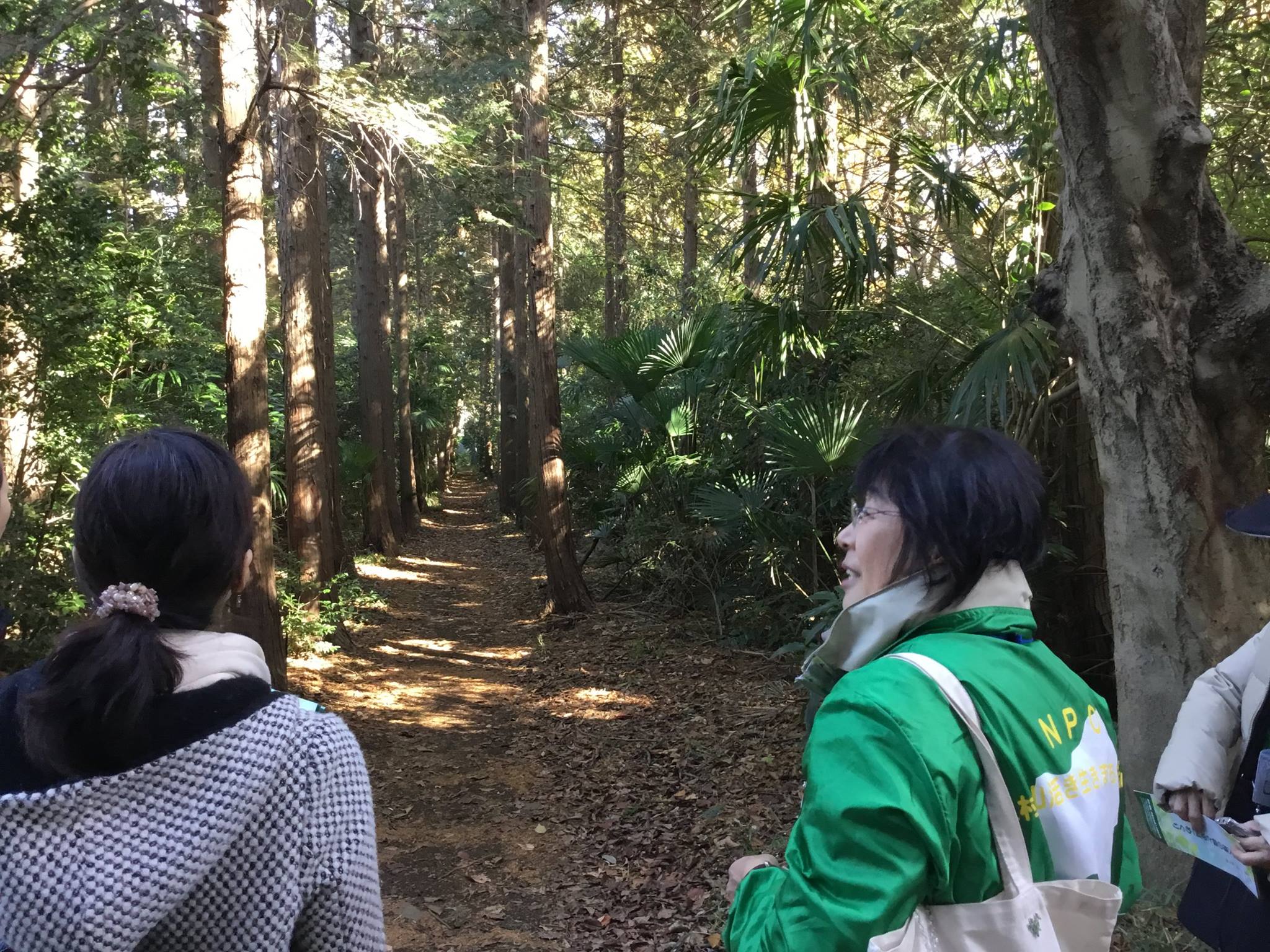 多磨全生園の森林浴道