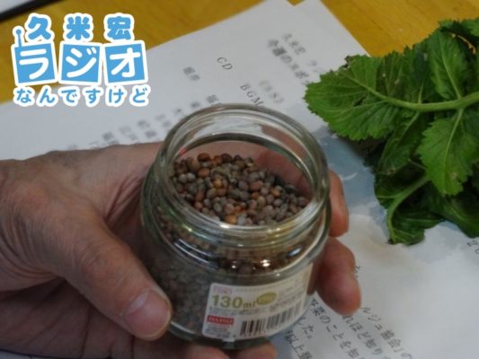 高倉大根の種