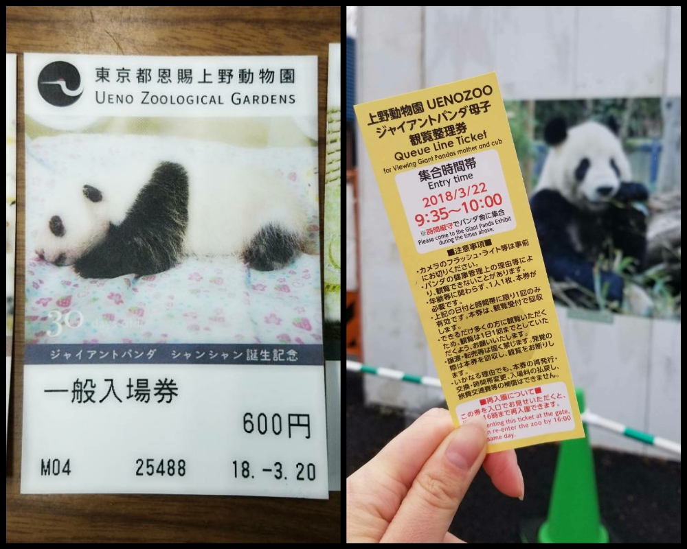 常に行列 上野動物園のパンダ シャンシャン 攻略法 ヒントは 弁天門