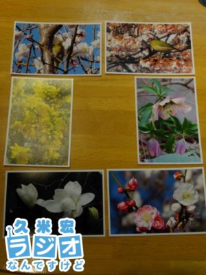 一慶さんの写真ハガキ