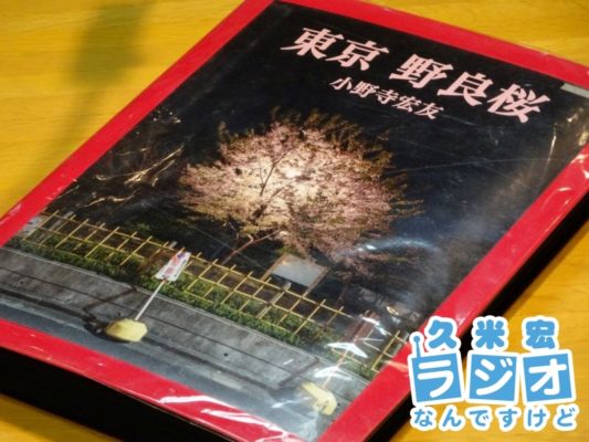 野良桜(表紙)