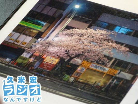 野良桜