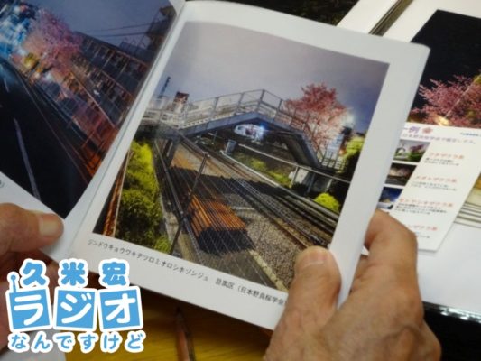 野良桜(学名付き)