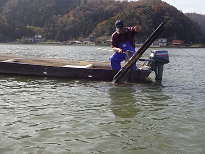 若狭湾の日