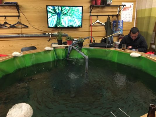 釣り 食 酒 の全てが00円で楽しめる練馬の釣り堀