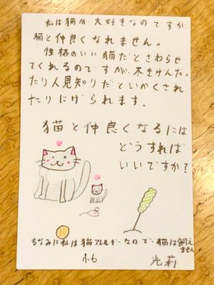 こどもでんわそうだんしつと郵便局と 猫と仲良くなるにはどうすればいいの 無料のアプリでラジオを聴こう Radiko News ラジコニュース