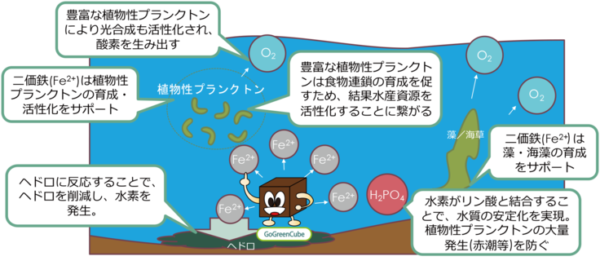 使い捨てカイロで水質改善 汚れた川や池がキレイに