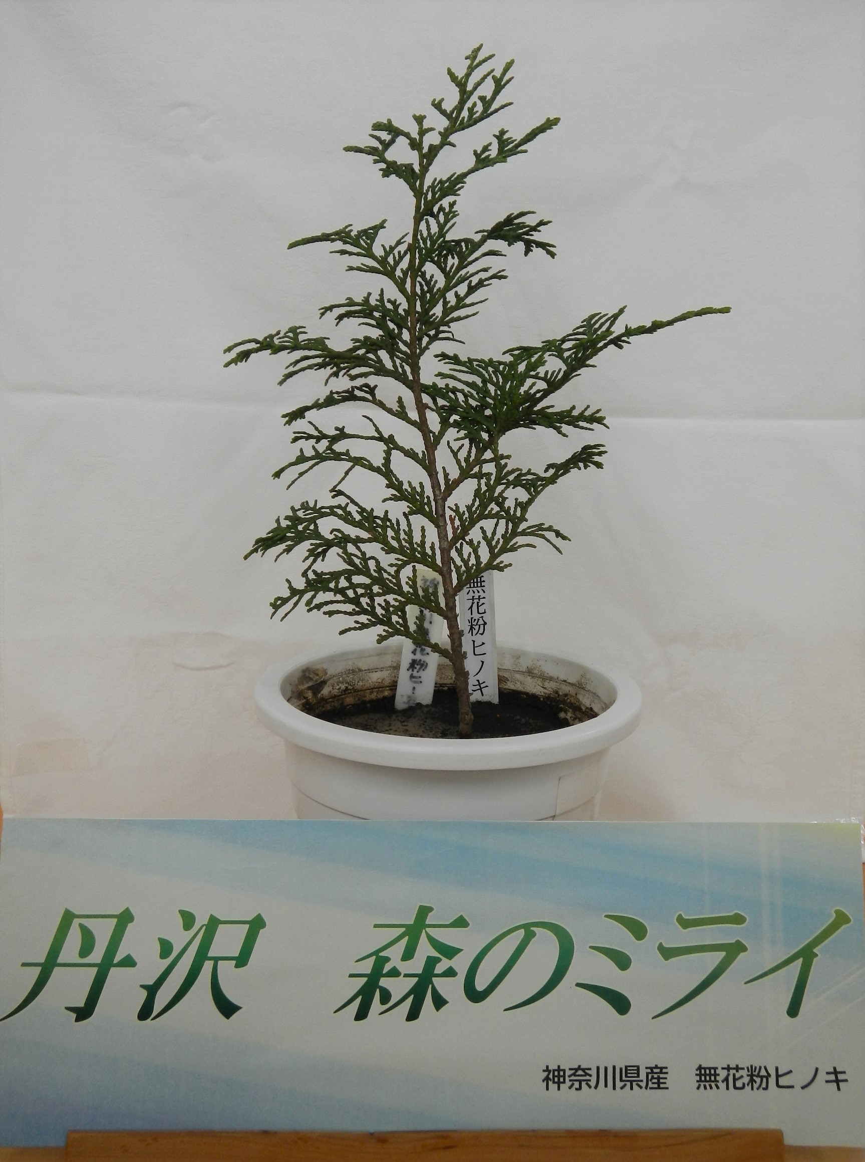 Tbsラジオ Fm90 5 Am954 何かが始まる音がする